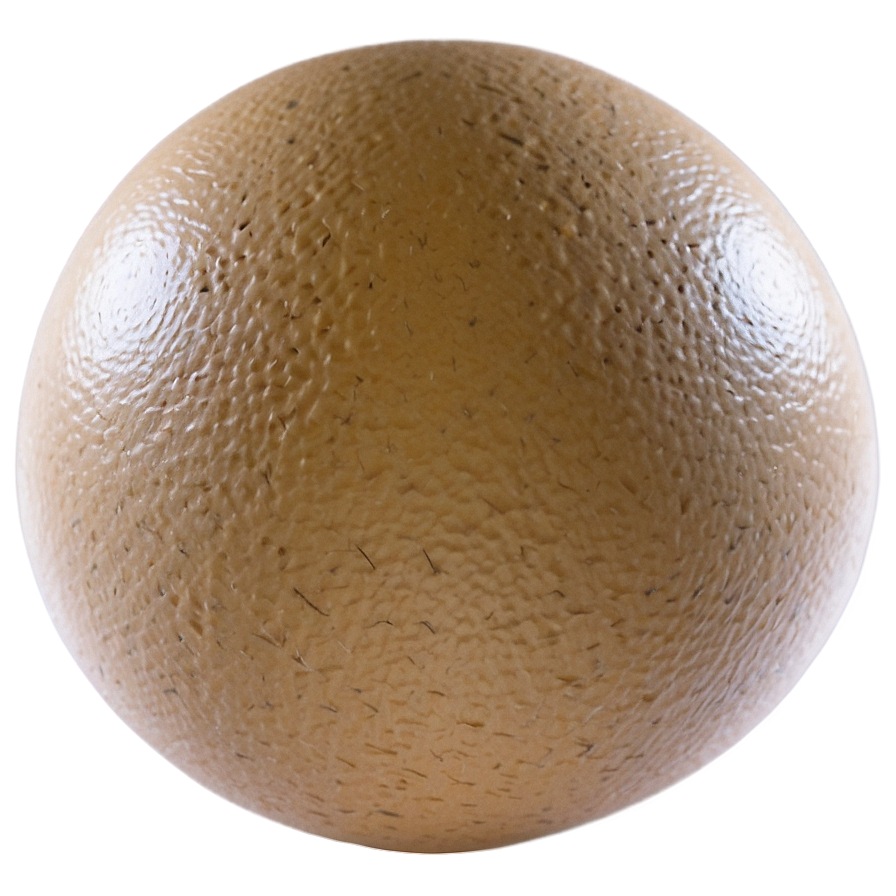 Egg Drawing Png 05242024