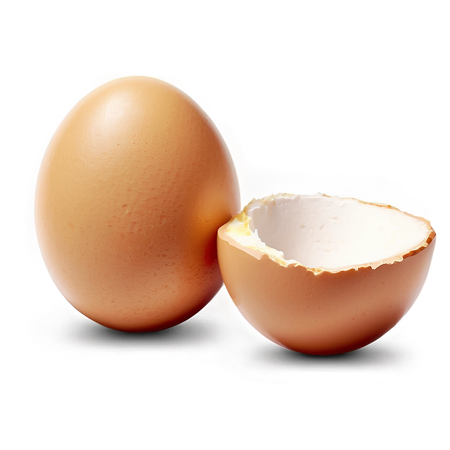 Egg Illustration Png Eeg