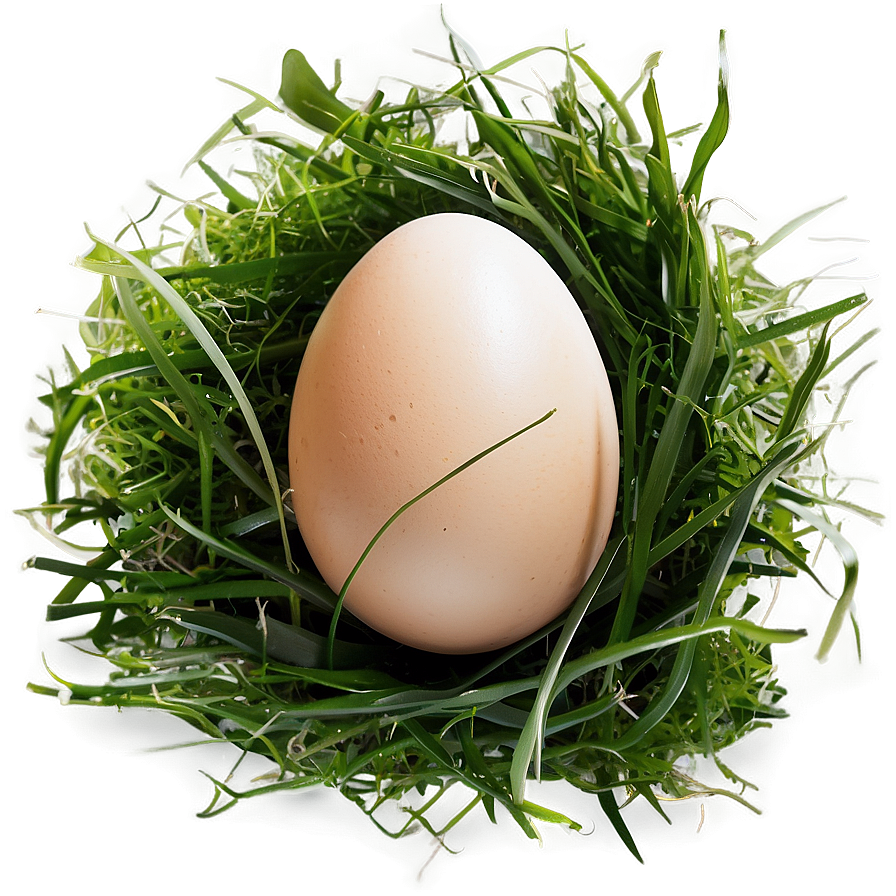 Egg In Grass Png 05042024