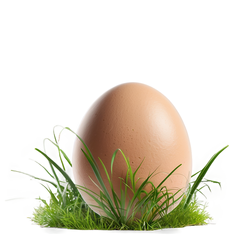 Egg In Grass Png 76