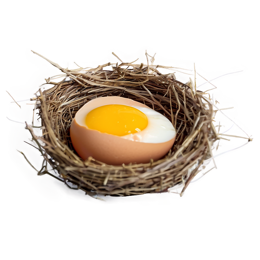Egg In Nest Png 05042024