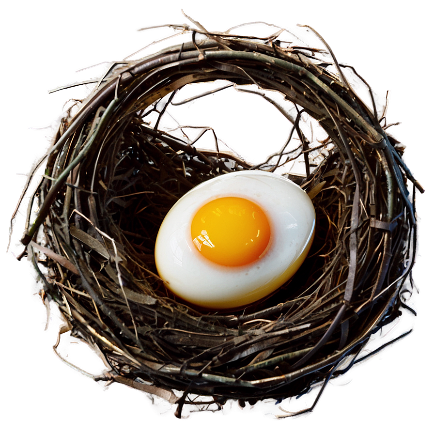 Egg In Nest Png Wjr56