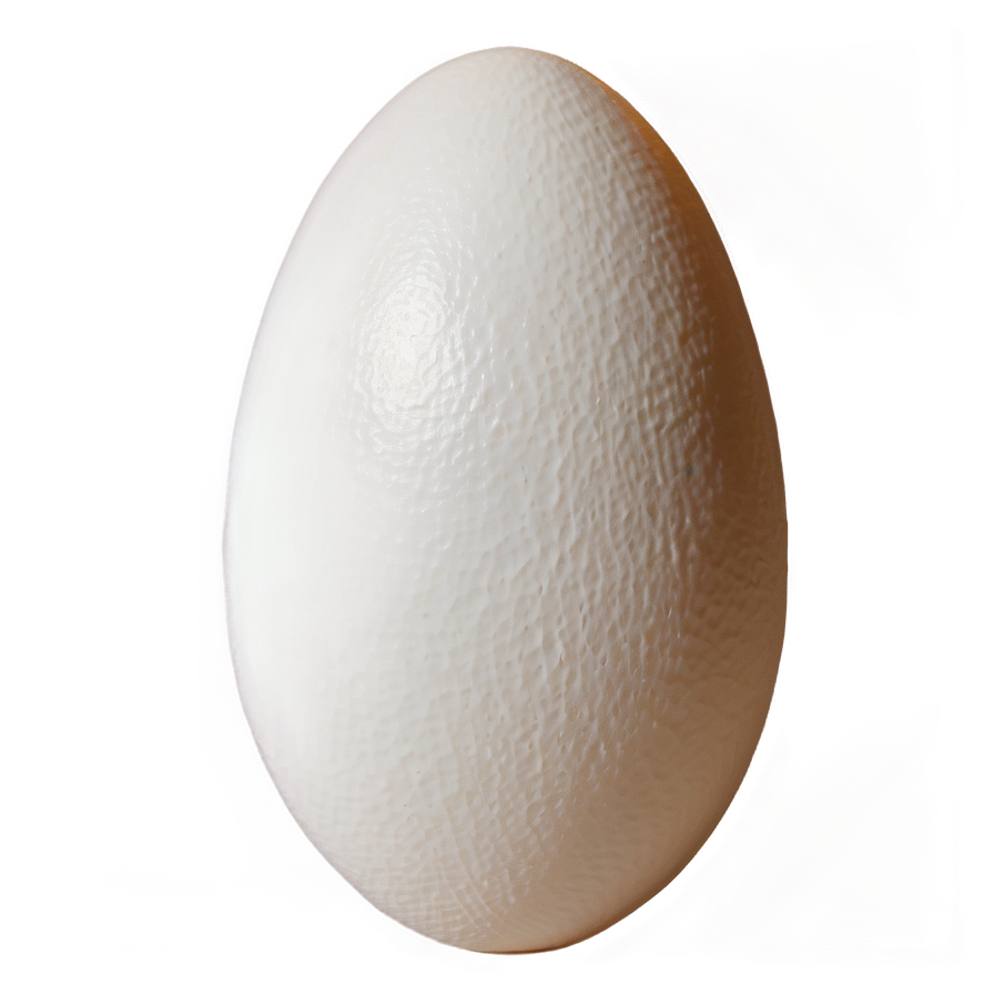 Egg Shell Png 05042024