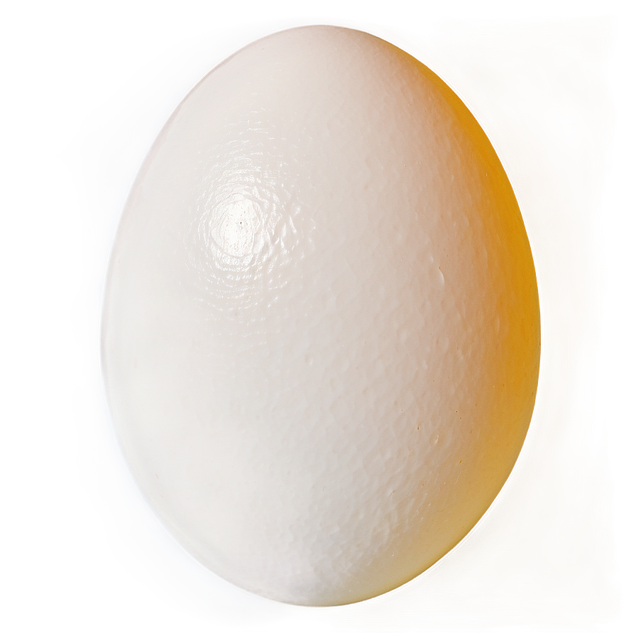 Egg Sunny Side Up Png 05242024