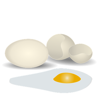 Eggs_ Variety_ Illustration