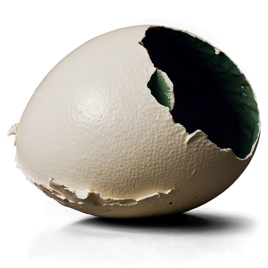 Eggshell Cracking Png Uum1