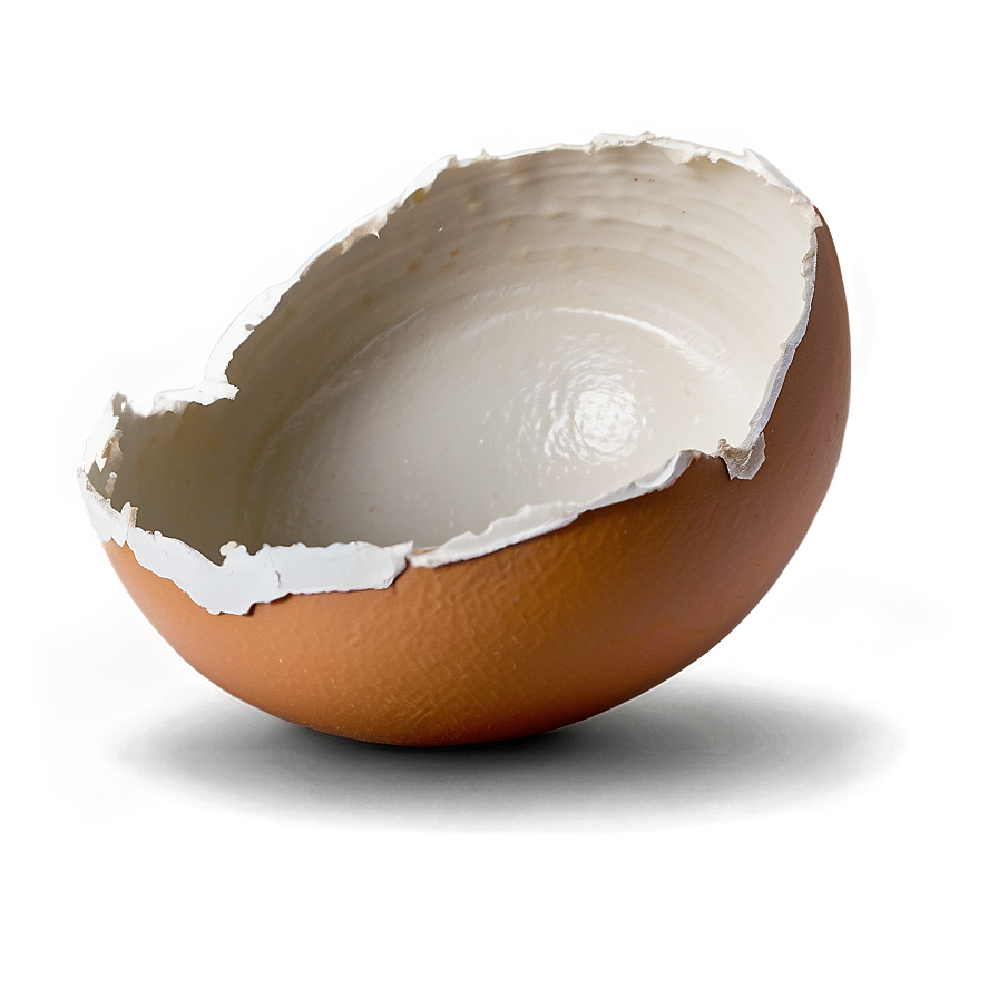 Eggshell Damage Png 28