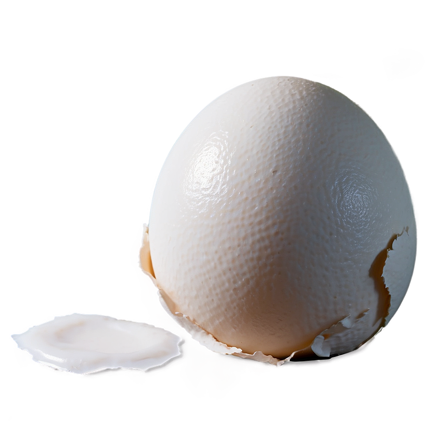 Eggshell Damage Png 39