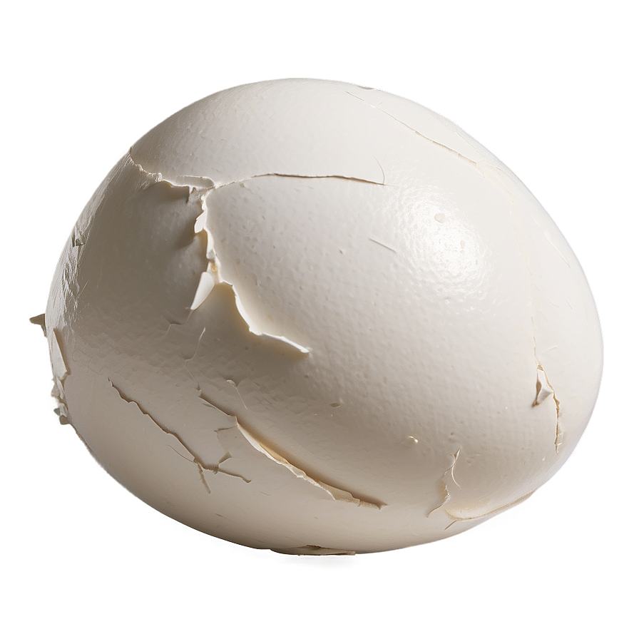 Eggshell With Crack Png 25