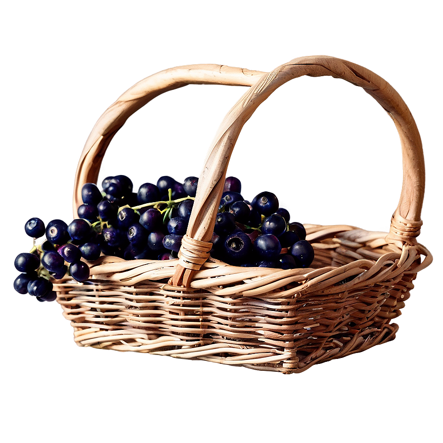 Elderberry Basket Png Jgi