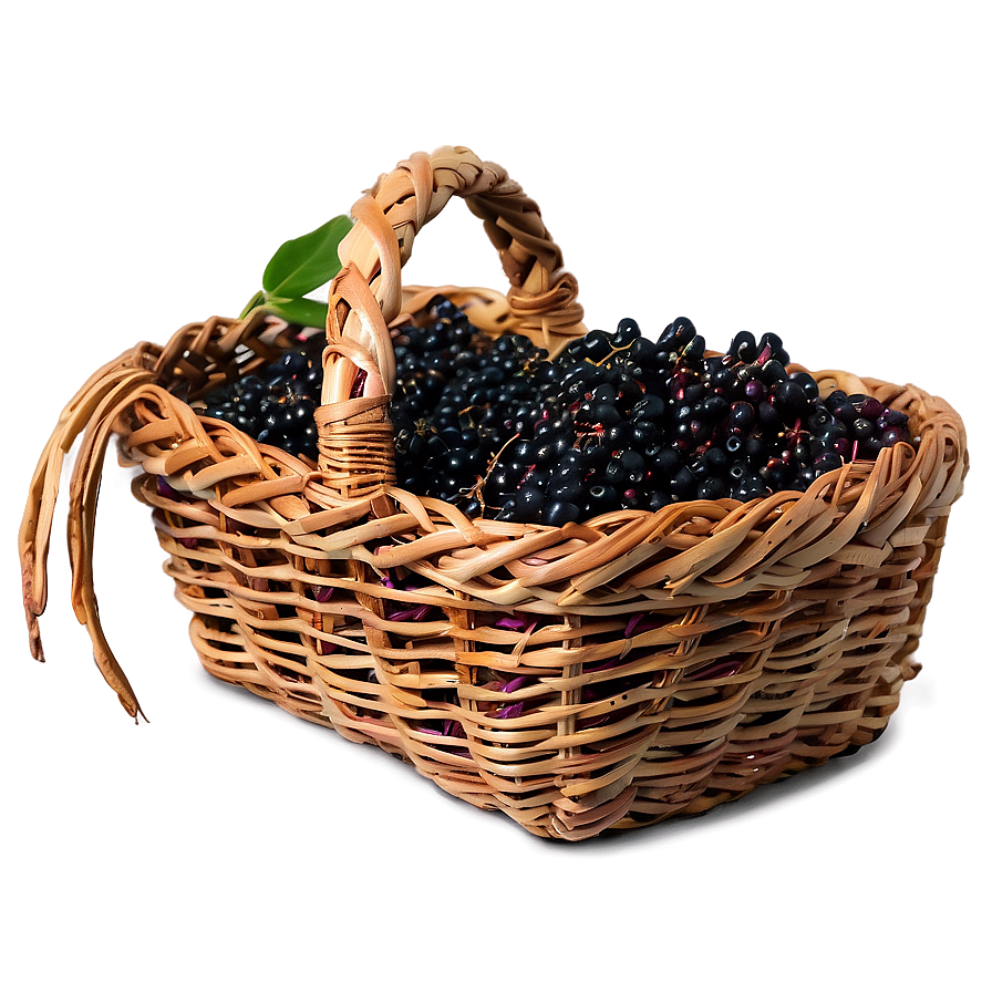 Elderberry Basket Png Kaj67