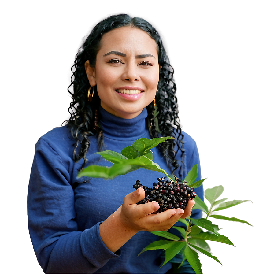 Elderberry Harvest Png Owu65