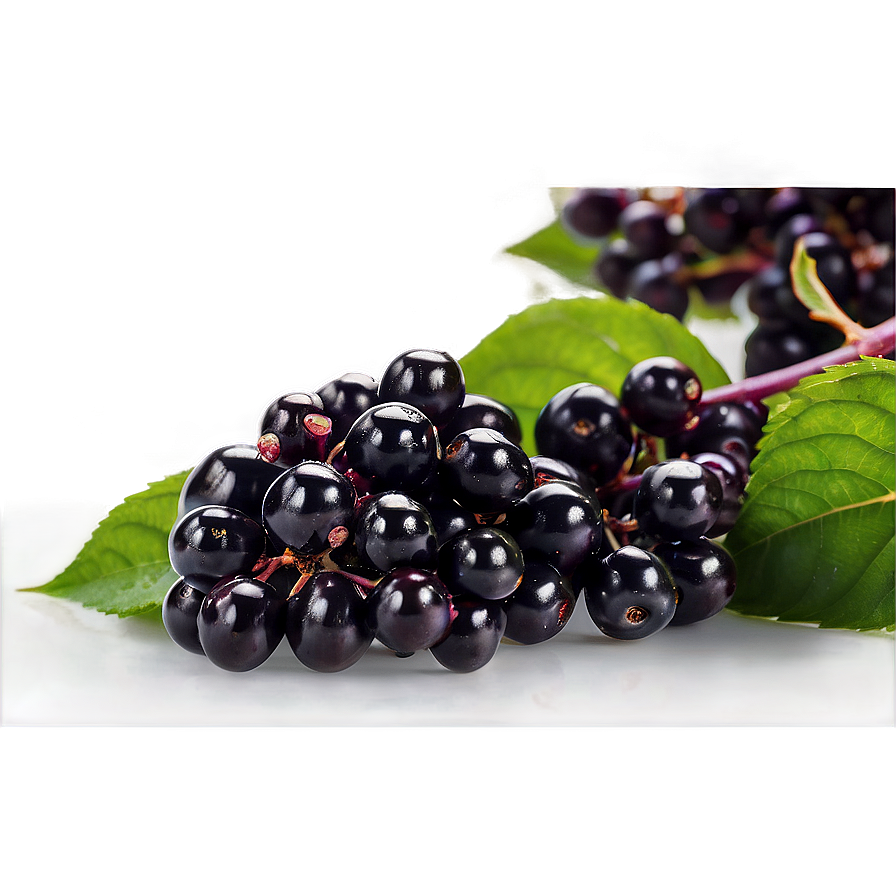 Elderberry Vitamin C Png 06252024