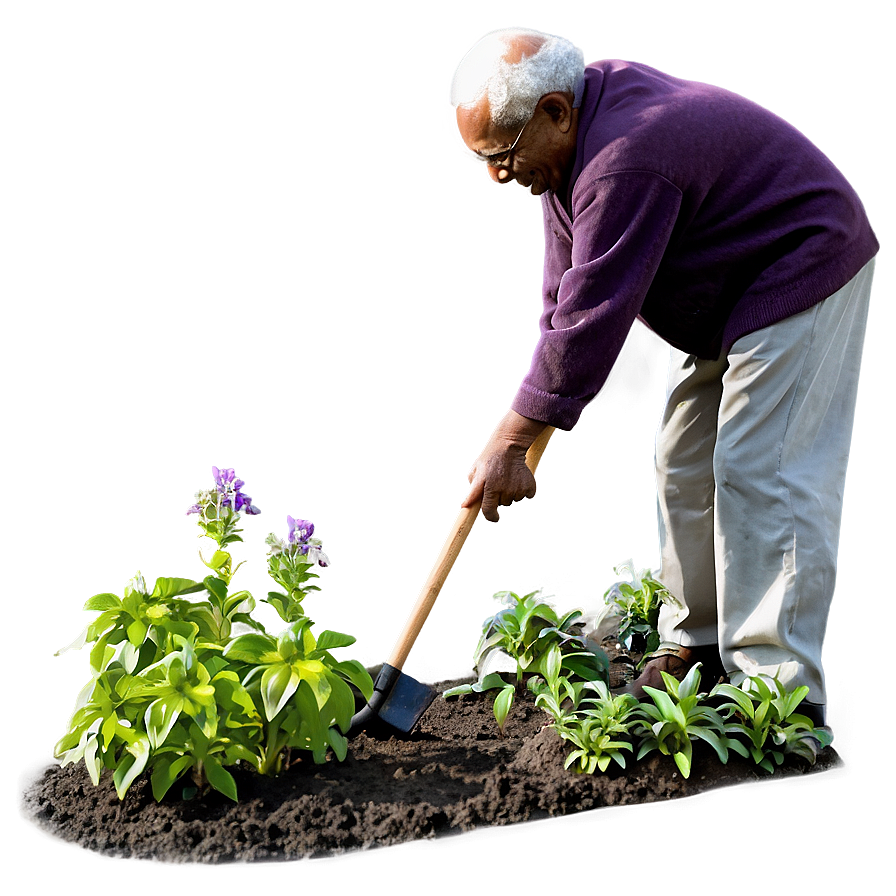 Elderly Man Gardening Png Kqp