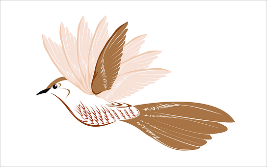 Elegant Bird Illustration