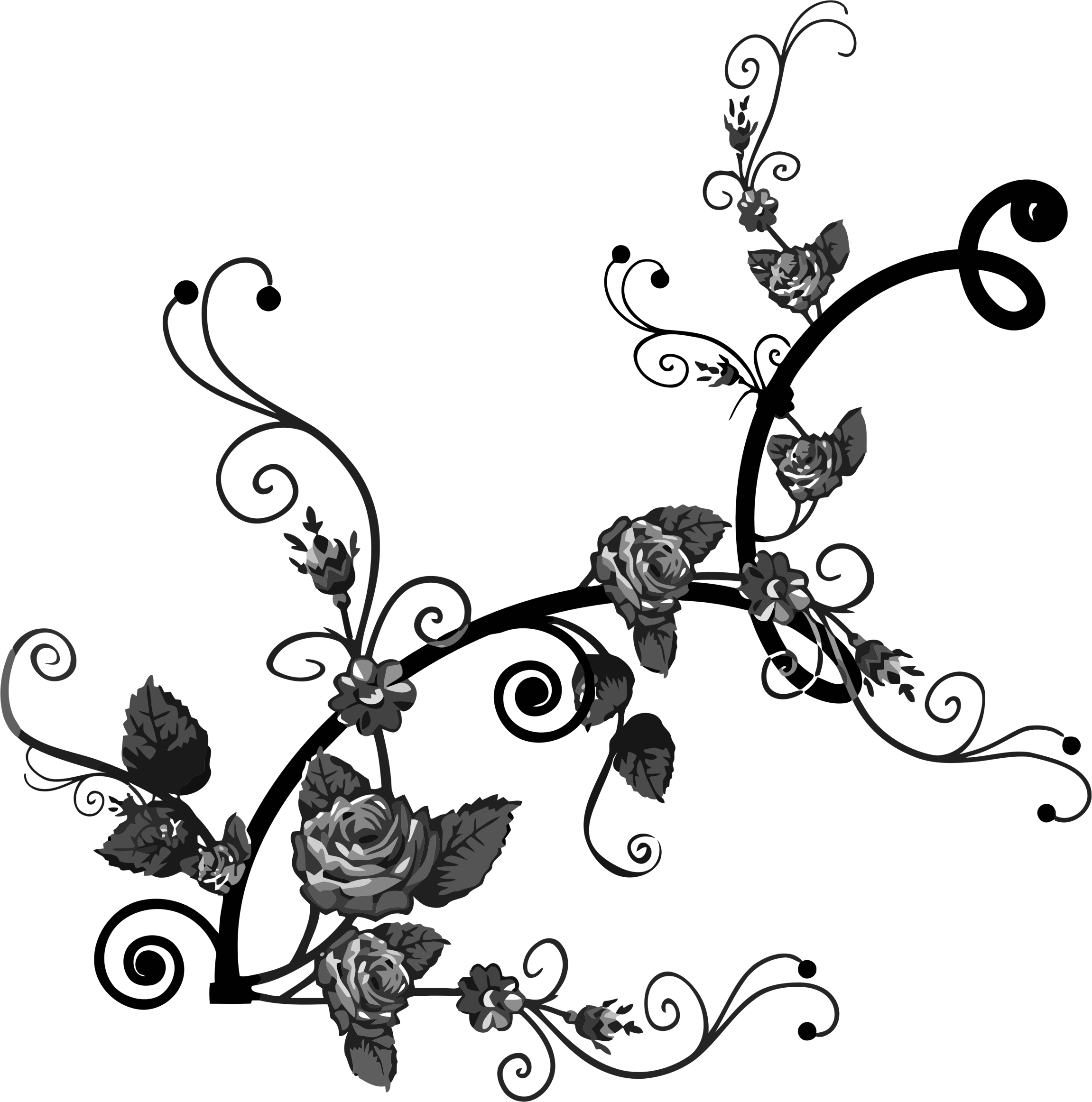 Elegant Black Floral Flourish Design