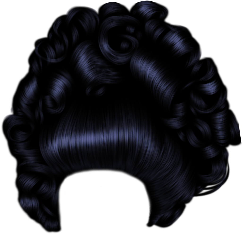 Elegant Black Hairstyle Illustration