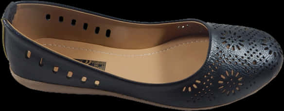 Elegant Black Ladies Ballet Flat