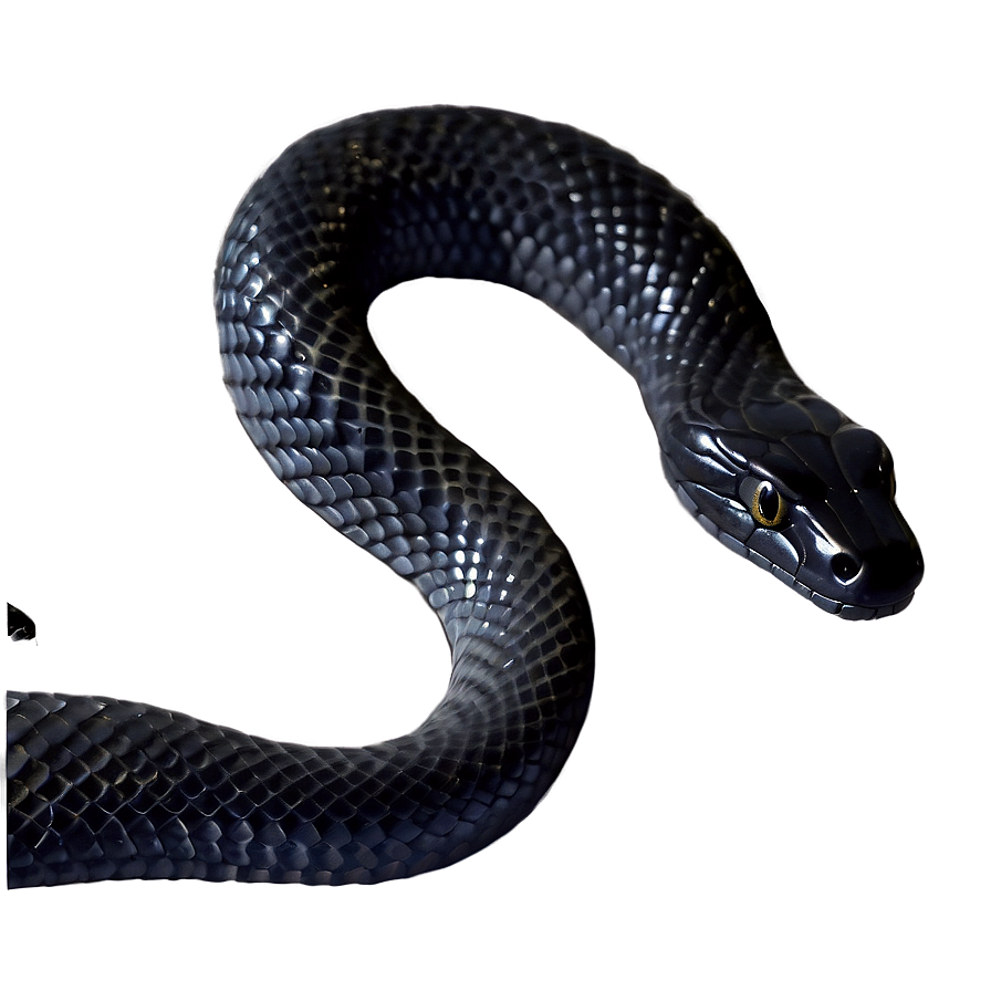 Elegant Black Snake Png 27