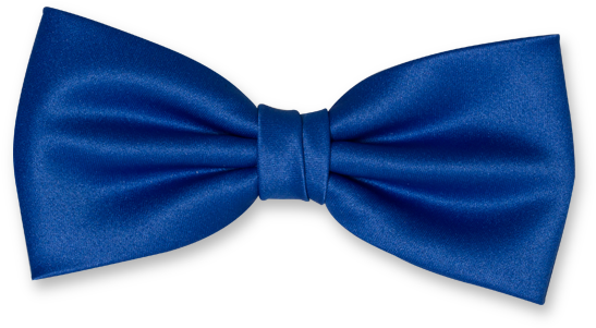 Elegant Blue Bow Tie