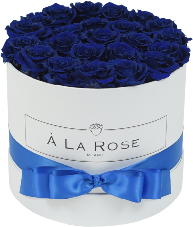 Elegant Blue Rosesin White Box