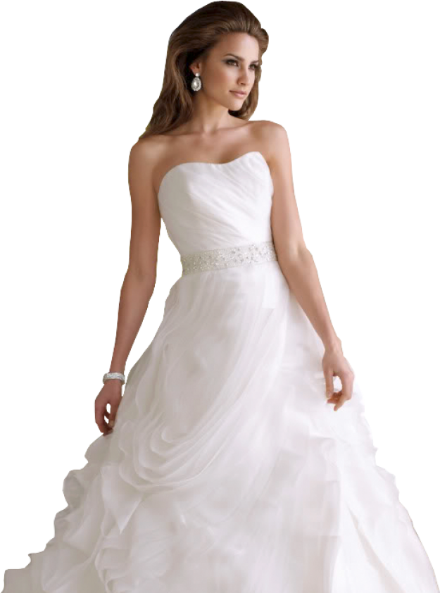 Elegant Bridein White Gown