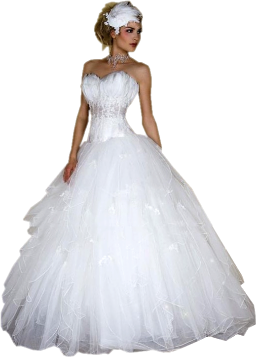 Elegant Bridein White Gown