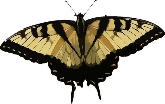 Elegant Butterfly Silhouette