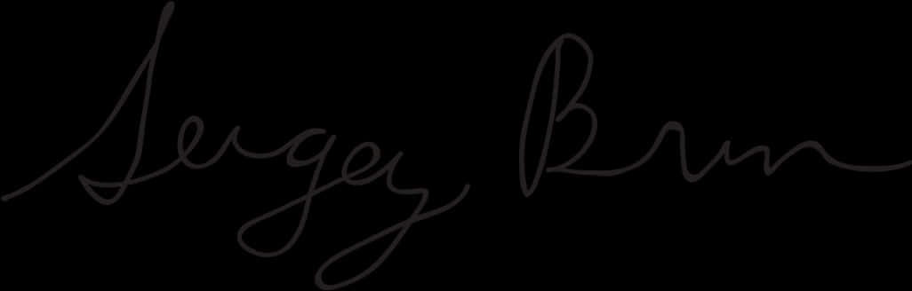 Elegant Cursive Signature