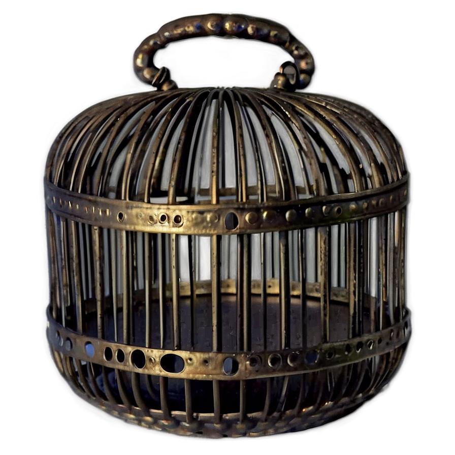 Elegant Decorative Cage Png 70