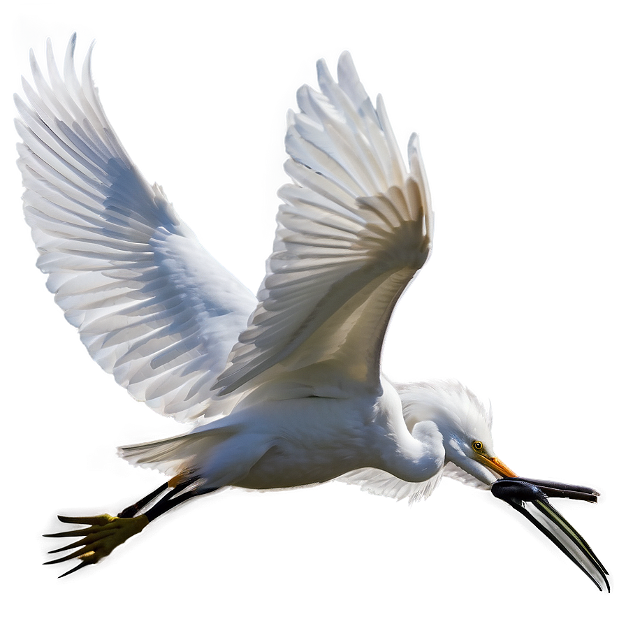 Elegant Egret Soaring Png Sov85