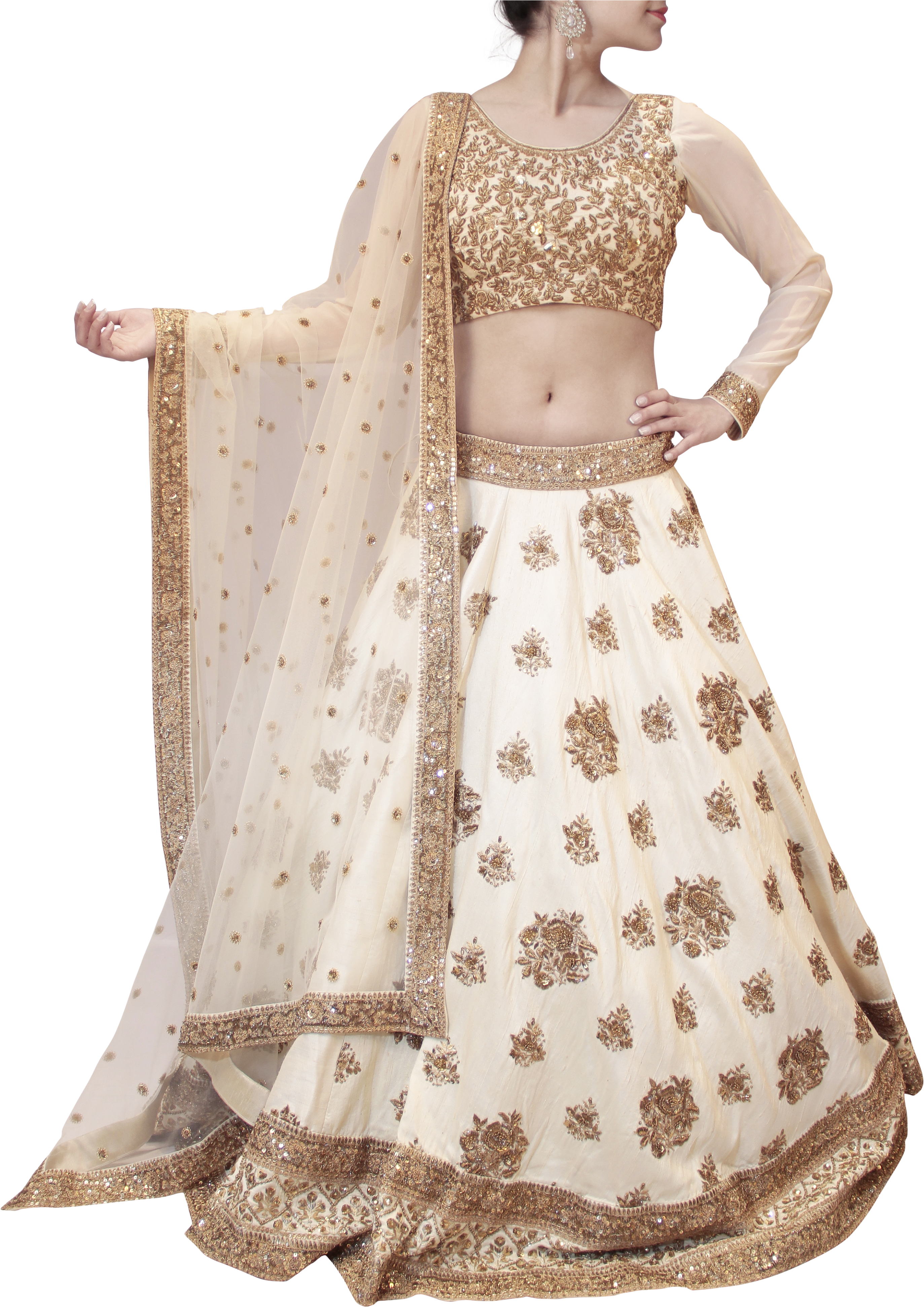 Elegant Embroidered Lehenga Choli