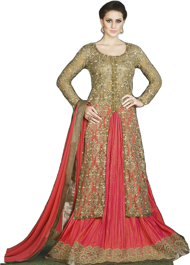 Elegant Embroidered Lehenga Choli