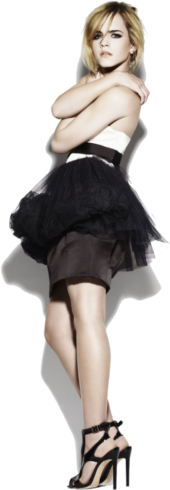 Elegant Emmain Black Tulle Skirt