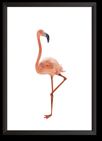 Elegant Flamingo Artwork