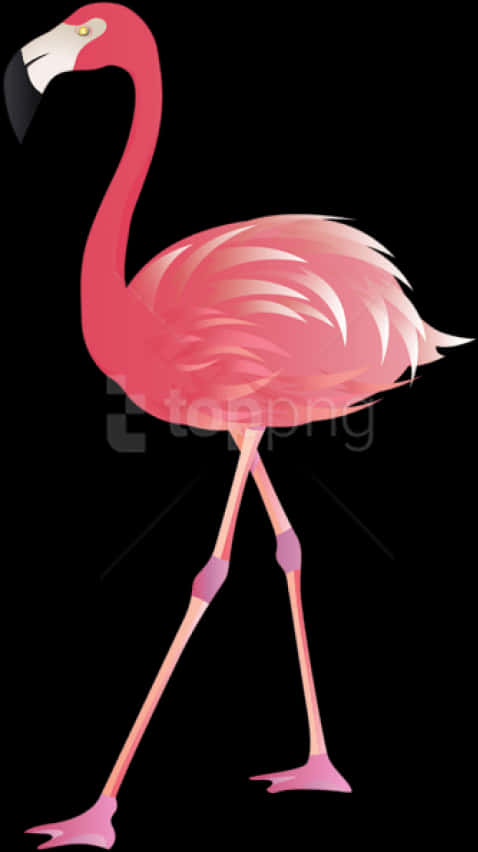 Elegant Flamingo Illustration