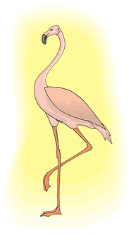 Elegant Flamingo Standing