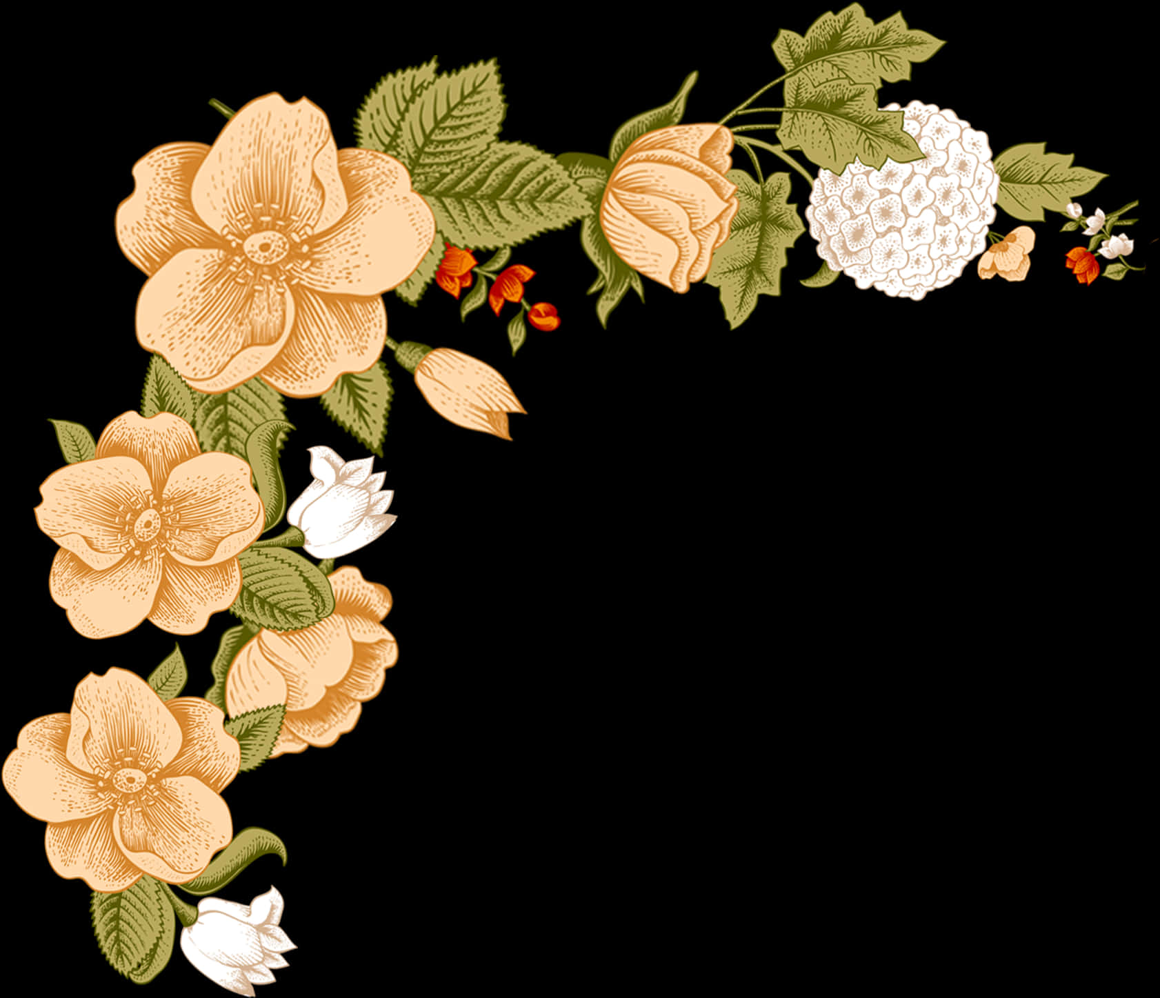 Elegant_ Floral_ Border_ Design