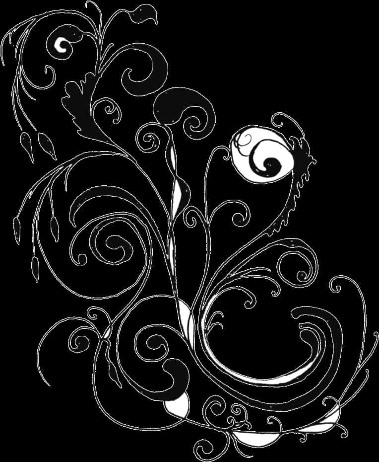 Elegant Floral Design Black Background