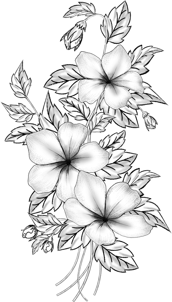 Elegant Floral Sketch Art