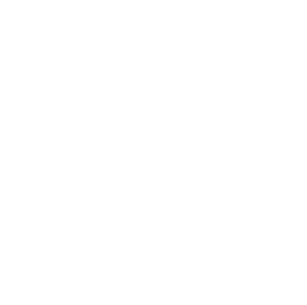 Elegant Flourish Design