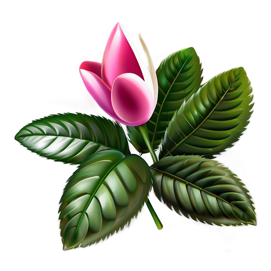 Elegant Flower Clipart Png Obk61