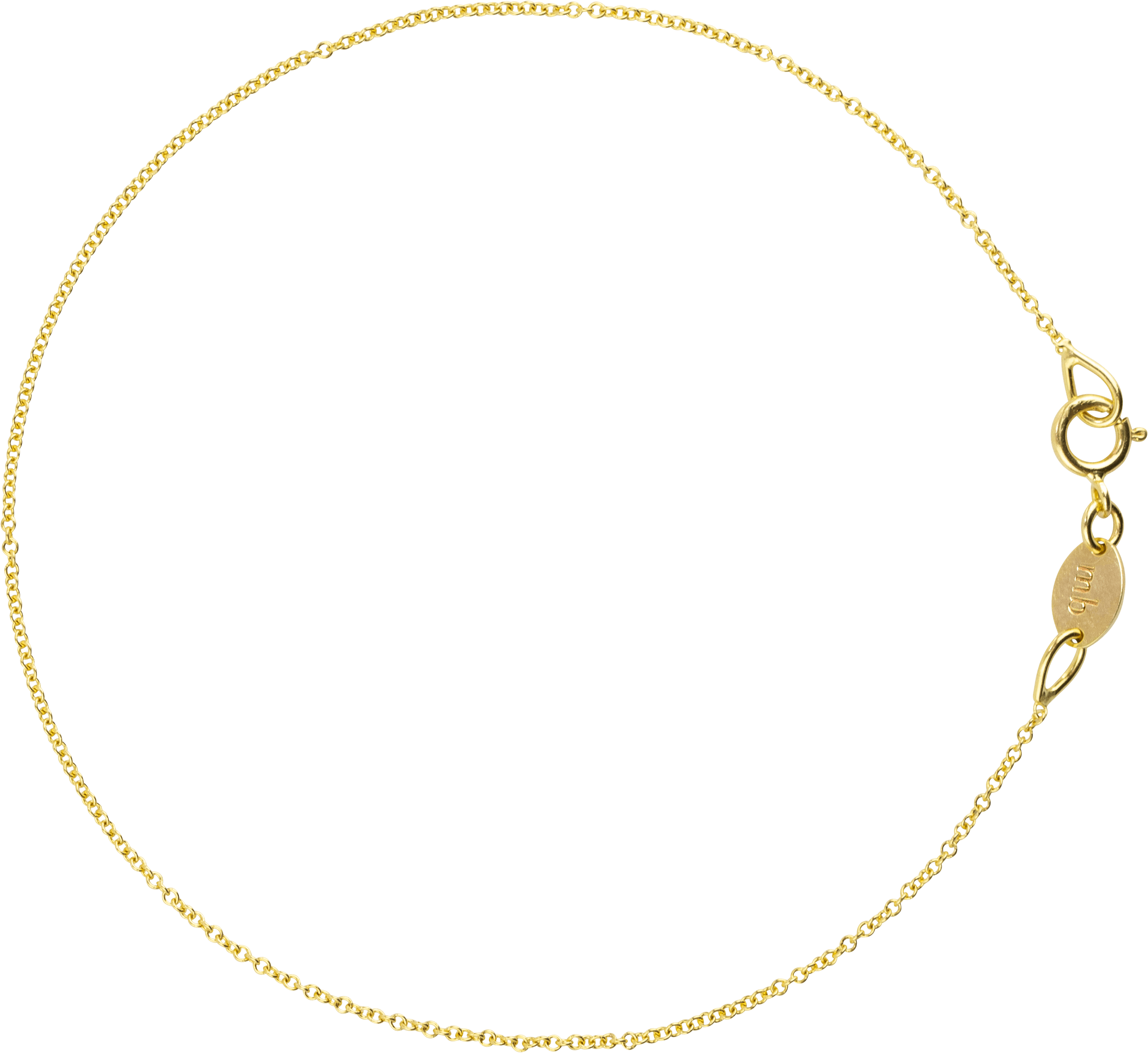 Elegant Gold Chain Isolated