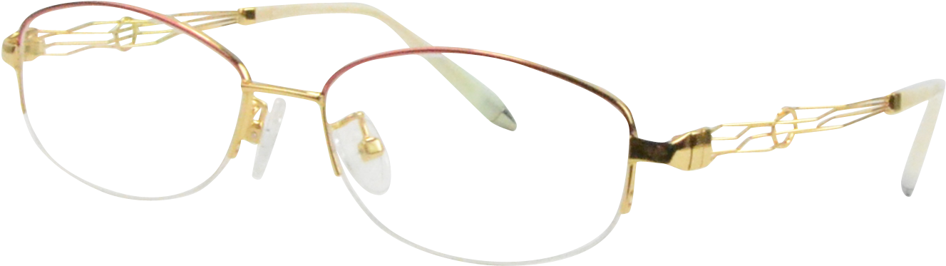 Elegant Golden Eyeglasses