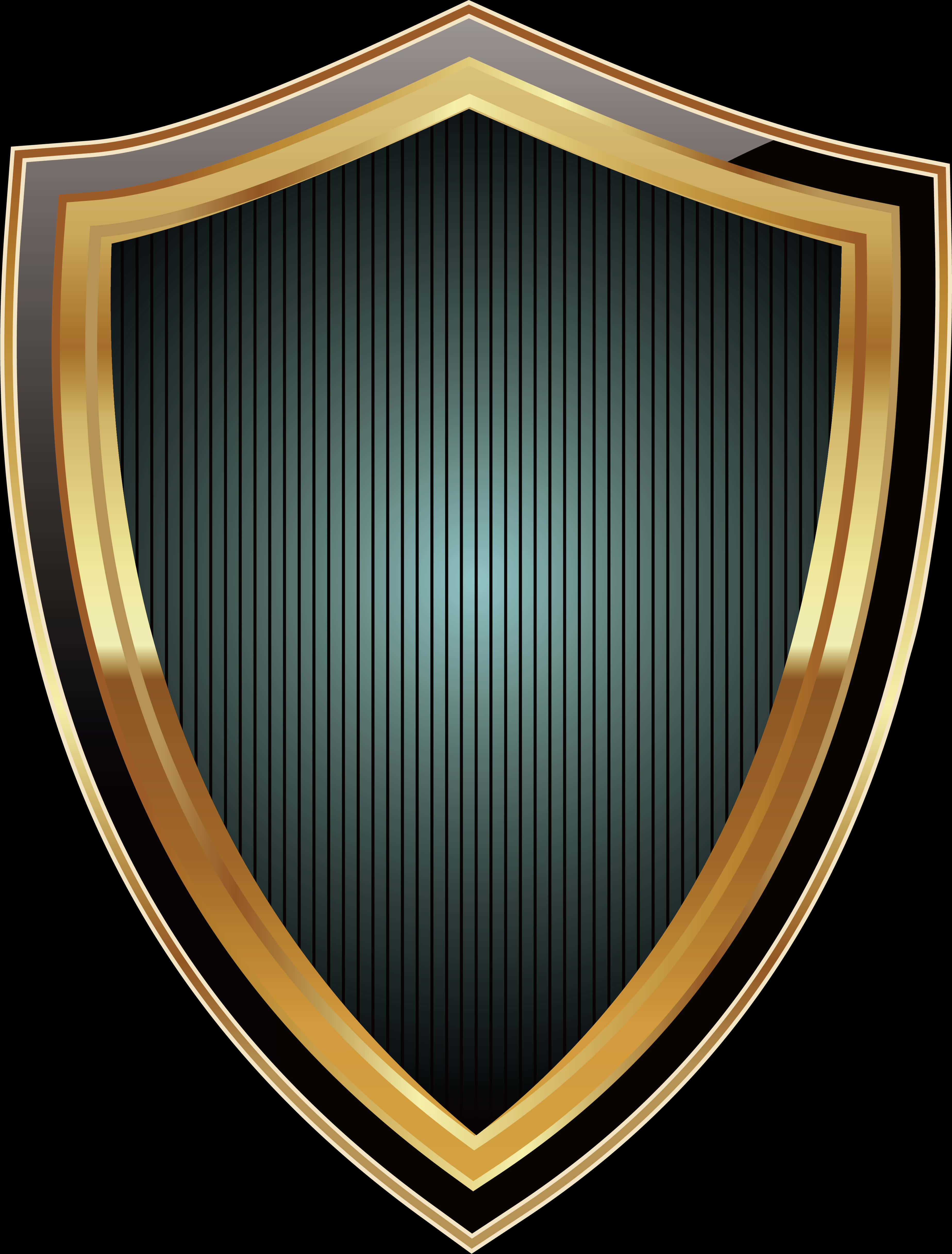 Elegant Golden Trimmed Shield