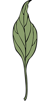 Elegant Green Leaf Artwork