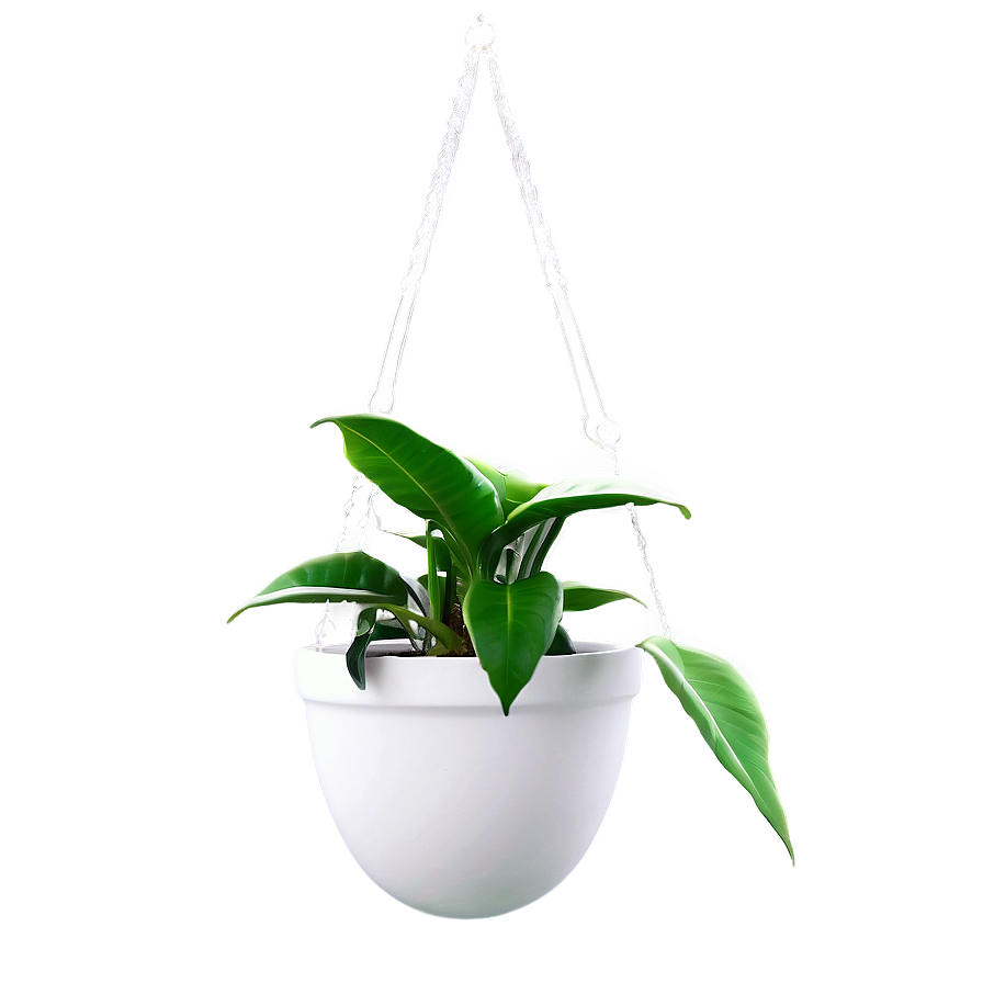 Elegant Hanging Plant Png 50