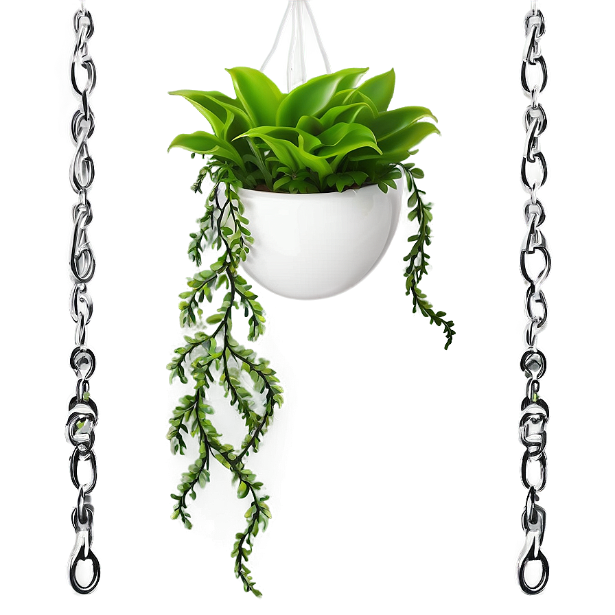 Elegant Hanging Plant Png Qis46