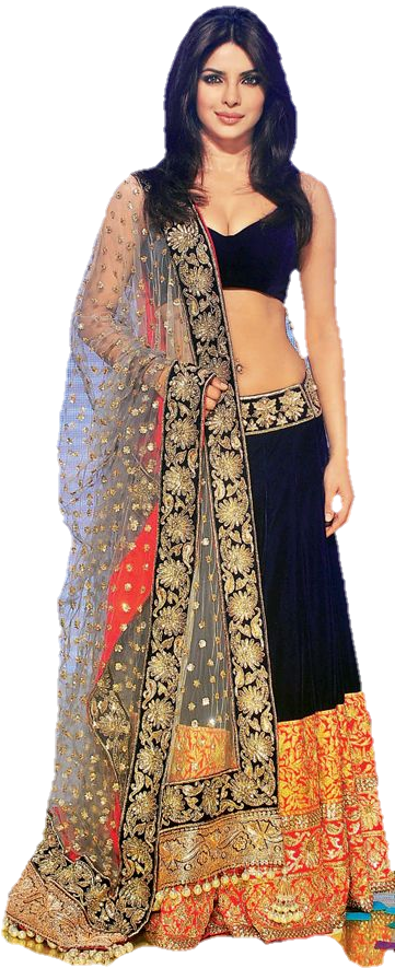 Elegant Lehenga Choli Design