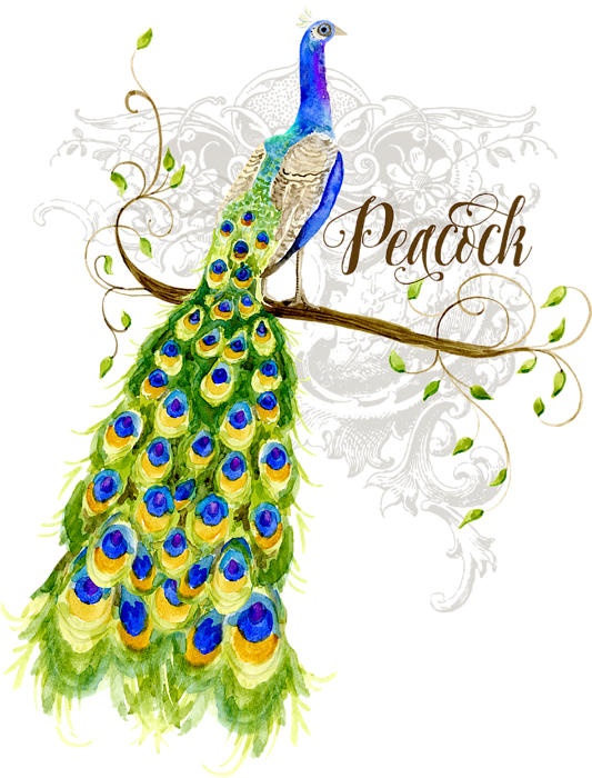 Elegant Peacock Artwork